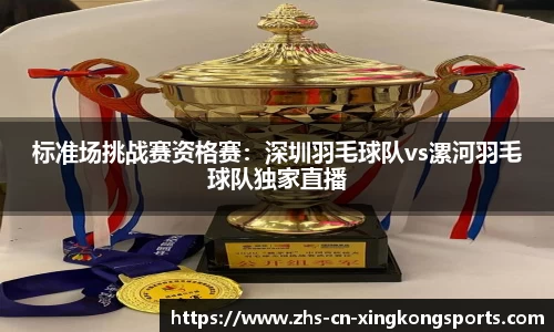 标准场挑战赛资格赛：深圳羽毛球队vs漯河羽毛球队独家直播